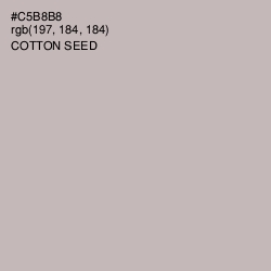 #C5B8B8 - Cotton Seed Color Image